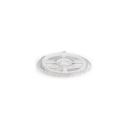 BANDA LED SMD3528 60LED/M 6000K IP20 5M