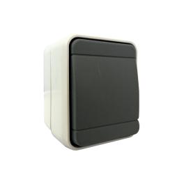 Buton cu revenire IP44, gri/gri