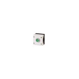 Buton verde complet in carcasa '1'