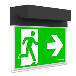 Corp il. AM WirelessControl 3h 230VAC suprafata tavanului
