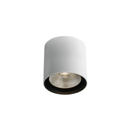 Delos L LED 40W 3200lm 3000K Ra90 220-240V IP65 alb