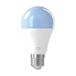 E27 A60 RGBW/CCT INCL.REMOTE CONTROL 9W 2700-6500K