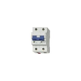 Intreruptor automat C 100A, 2 poli, 10kA