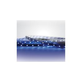 Marra LED, 4,8W/m, 60LEDs/m, albastru, 24VDC, IP20
