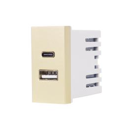 Modul Priza USB A+C 1M LUXION, Standard Italian - auriu