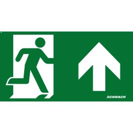 Pictograph ptr.Linda NLLTU., sageata up
