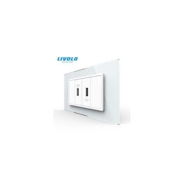 Priza dubla USB, 4M, cu rama sticla