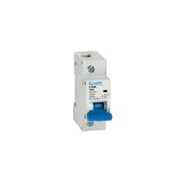 SIGURANTA C100M 1P 100A CURBA С