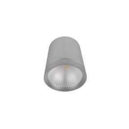 SPOT CU LED RDLCOB 10W 230W 4000K 60° ARGINTIU