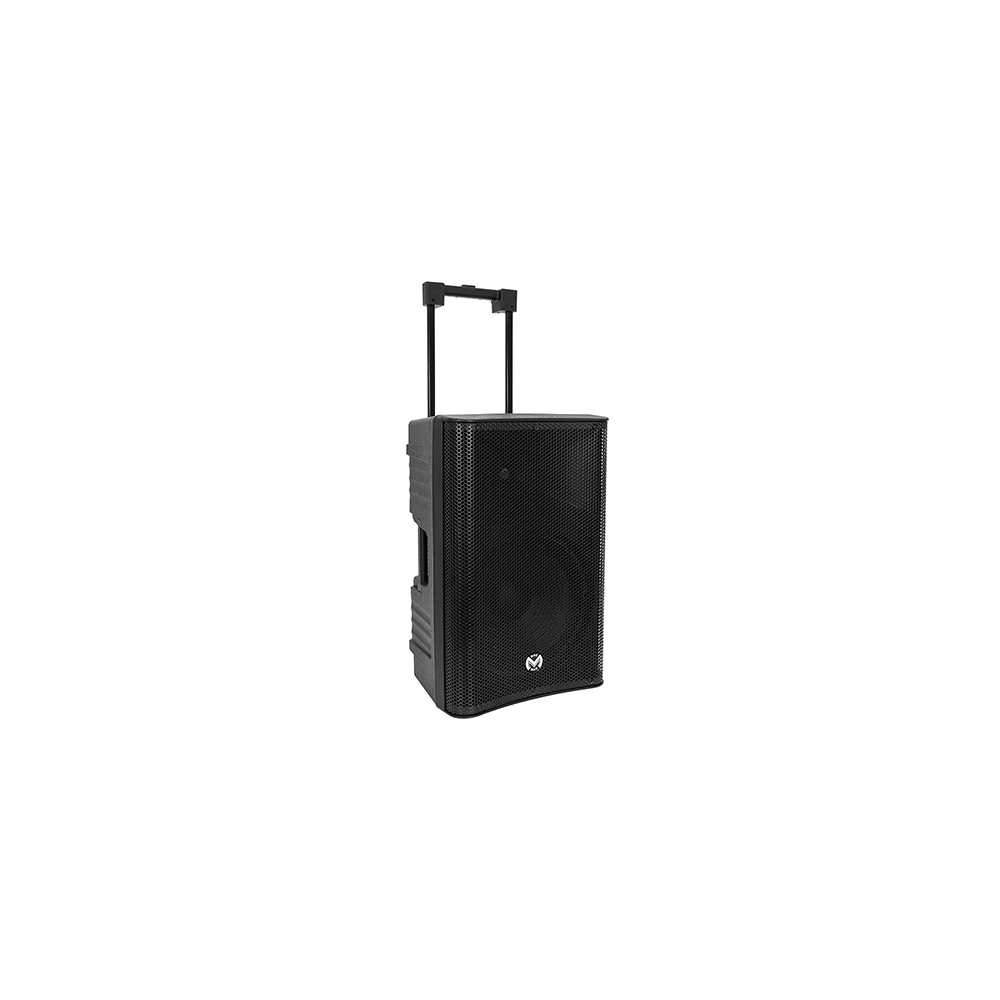 BOXA PORTABILA 12''/31CM 250W RMS TWS CU BT/USB + 2 MIC WIRELESS