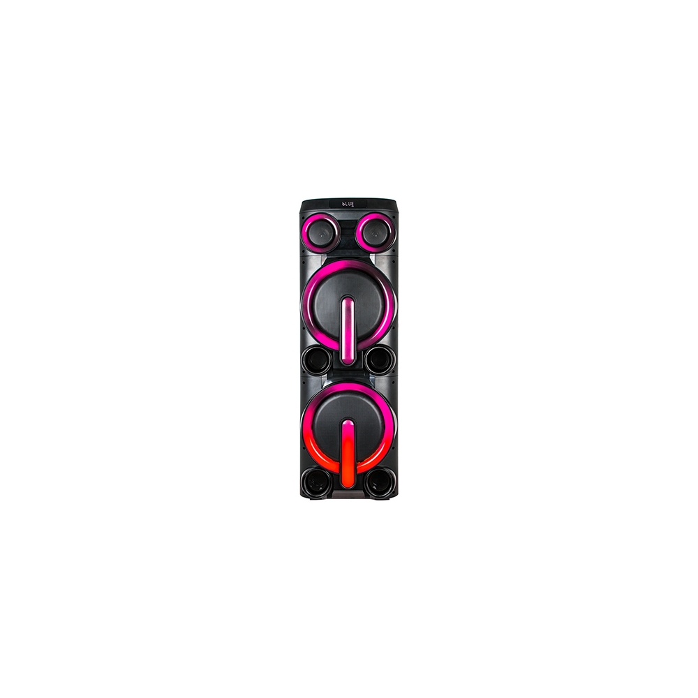 BOXA PORTABILA 2X10" BLUETOOTH/AUX/USB + MIC WIRELESS UHF