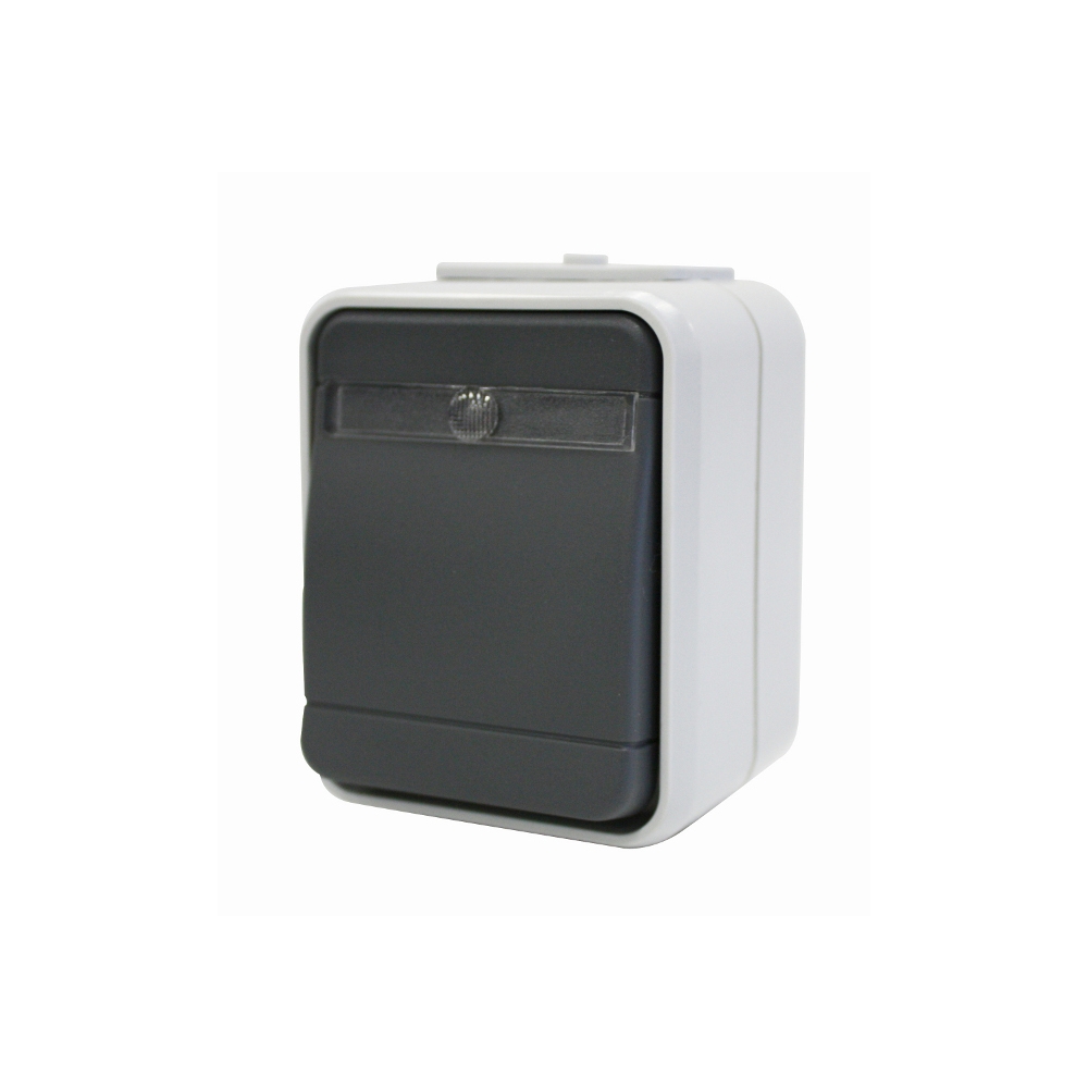 Buton cu revenire cu bec IP44, gri/gri