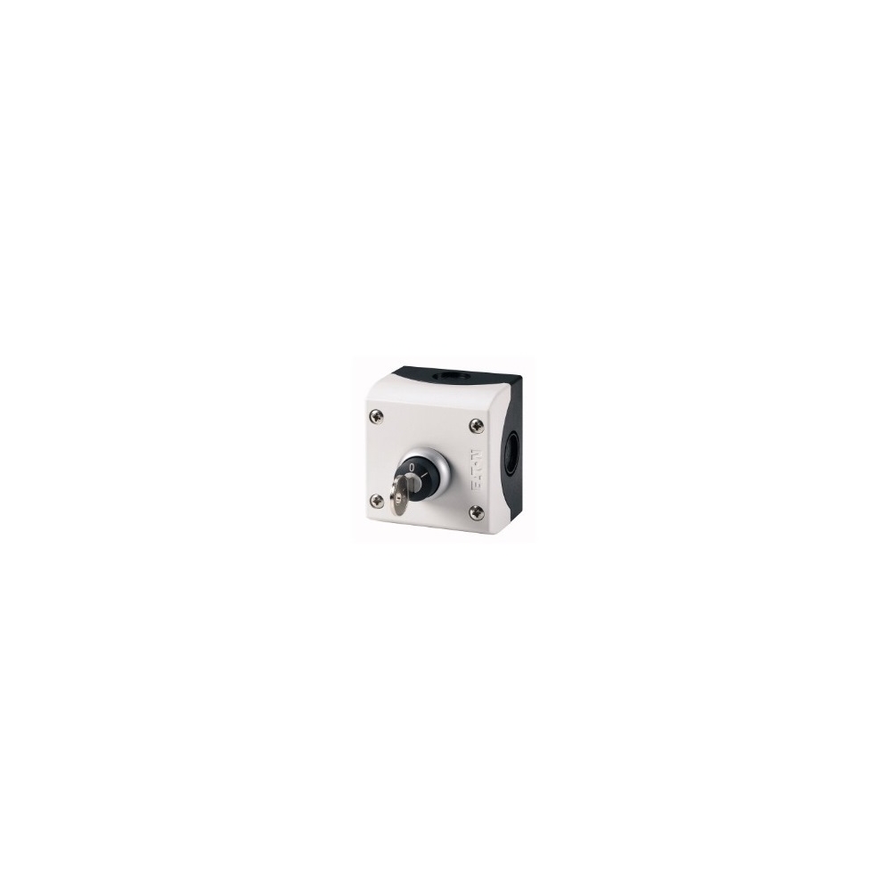 Buton cu revenire cu cheie, 1ND+1NI