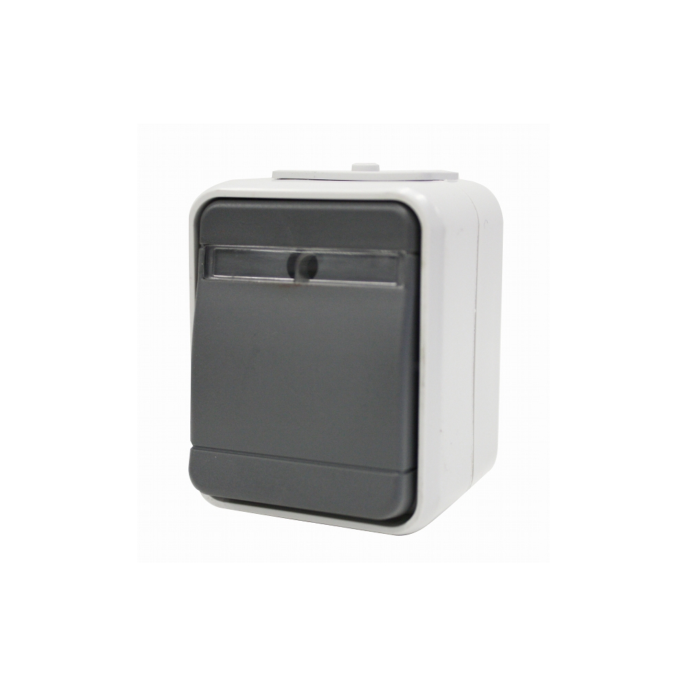 Buton cu revenire cu inscriptionare IP44, gri/gri