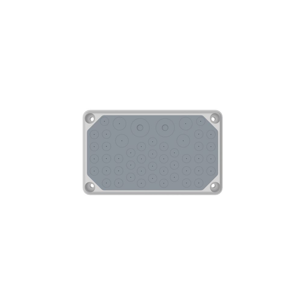 Cable entry gland plate, IP55, 44x&Oslash;3-14, 3x&Oslash;3-21, 2x&Oslash;3-30mm