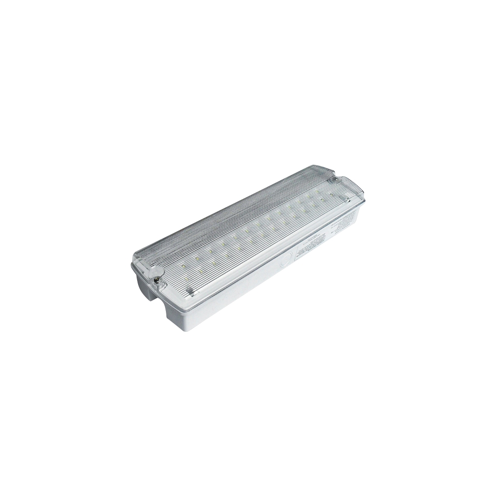 89404 WHITE 5W EMERGENCY M3hrs IP65 230V