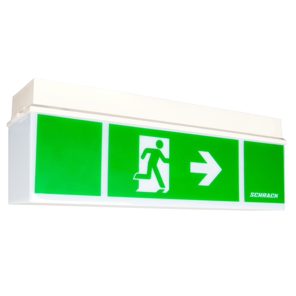 Corp iluminat siguranţă KW wireless cu LED-uri de 230V AC 1h