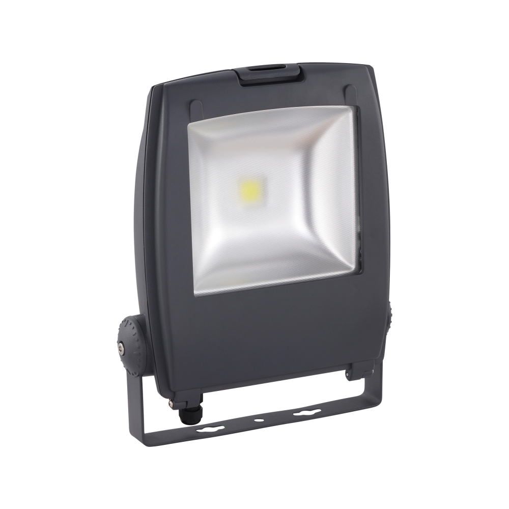 Floodlight Gambettola Pro 50W 6500K anthracite (RAL7016)