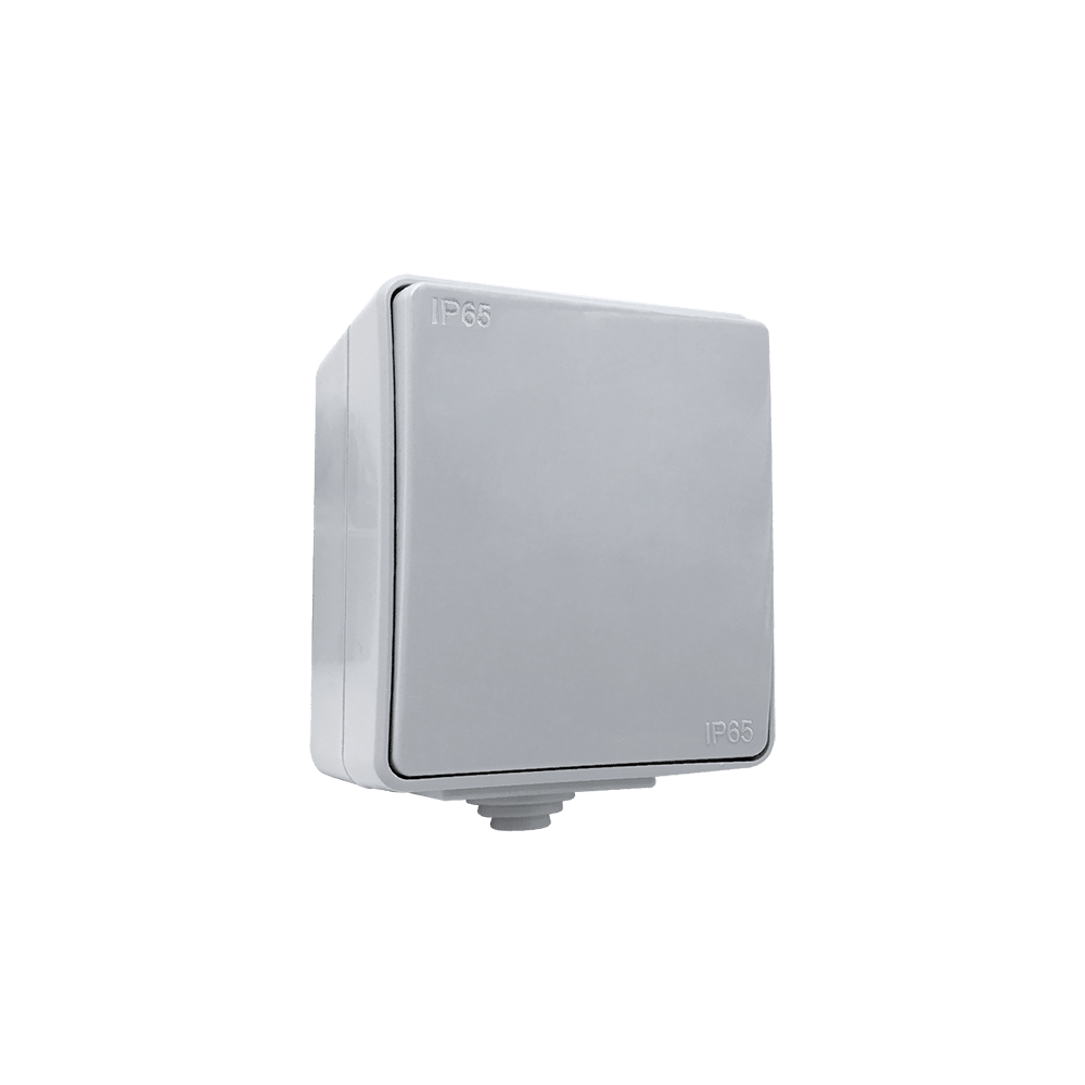 INTRERUPATOR CAP CRUCE APLICAT GRI IP65