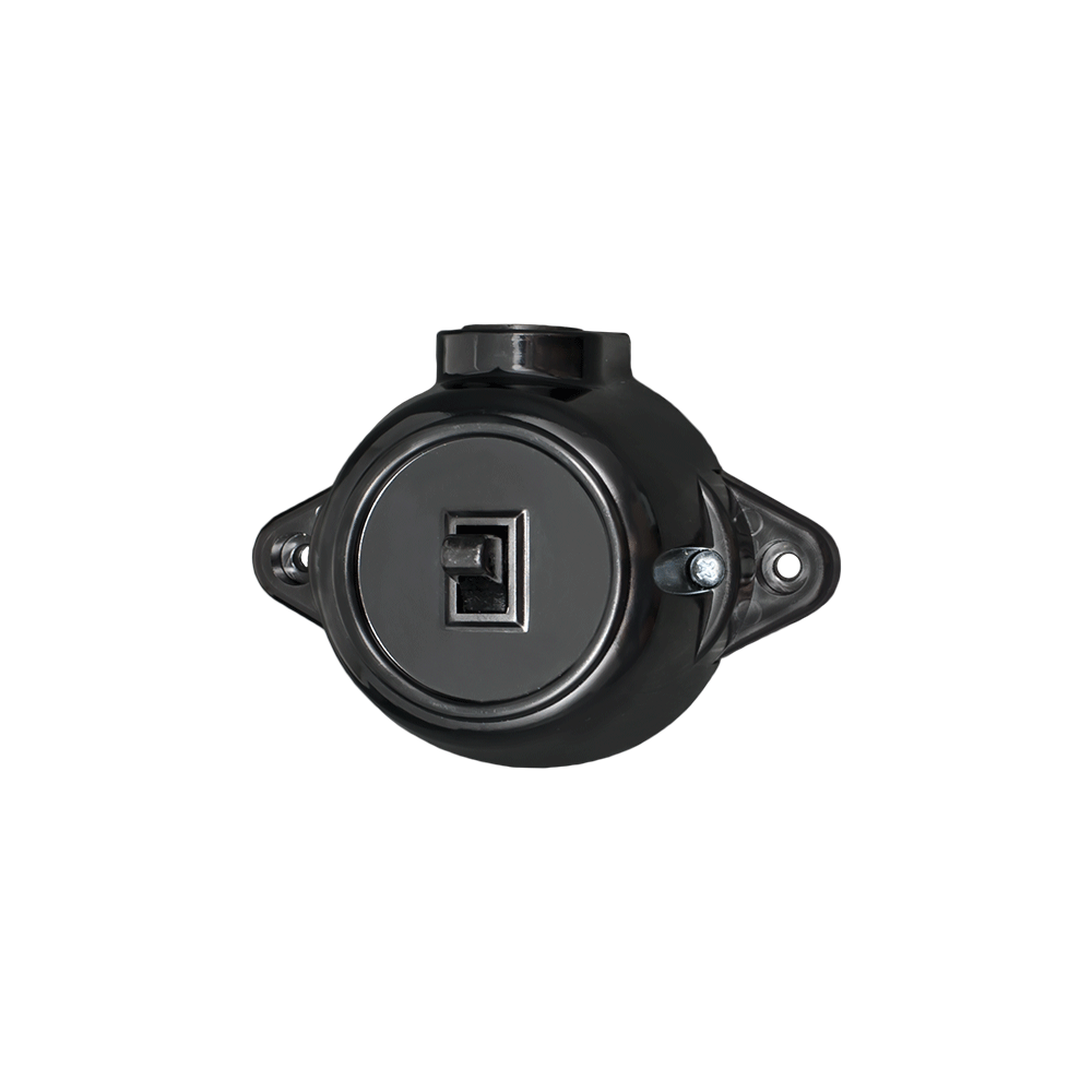 INTRERUPATOR CAP SCARA ANTIC 10A 250V NEGRU