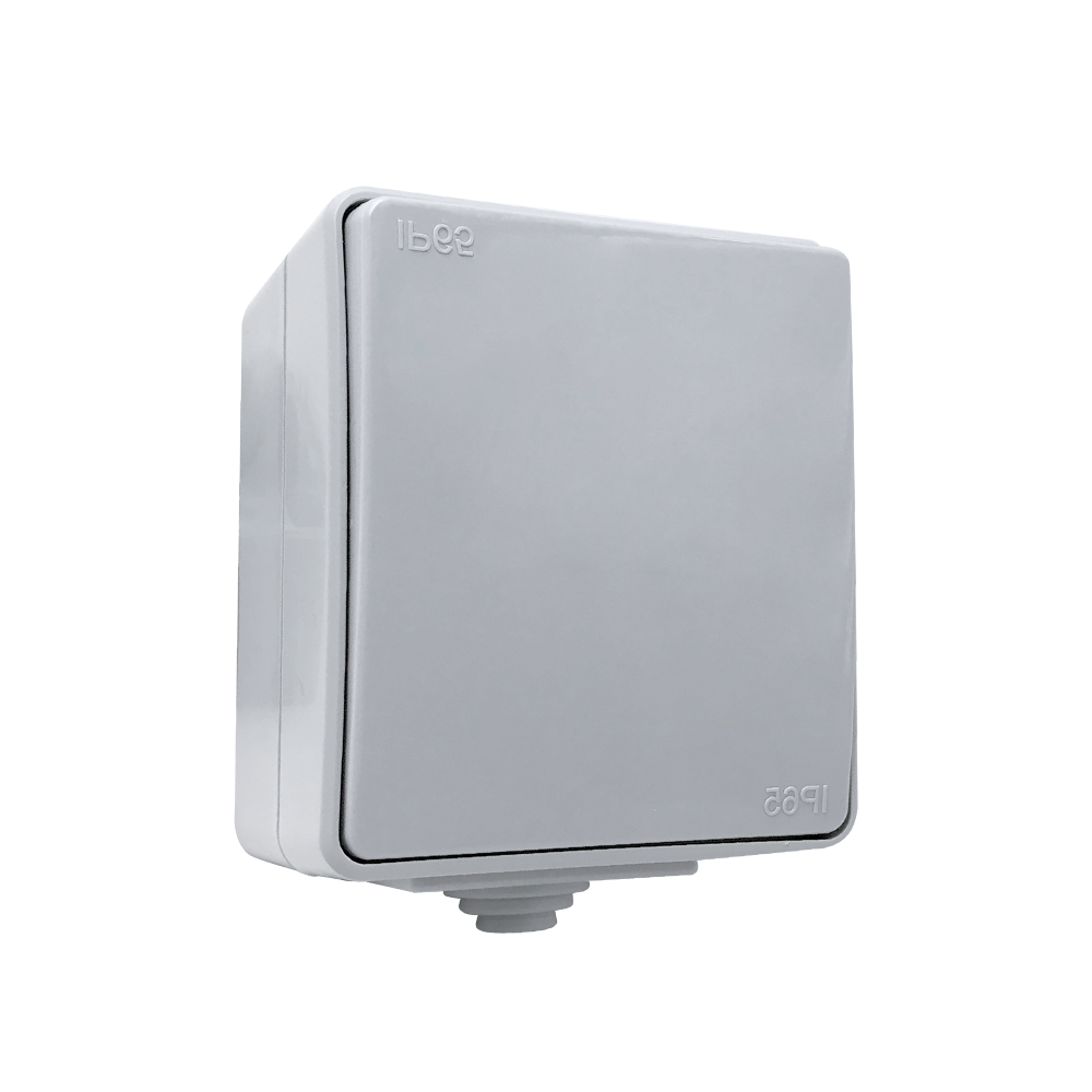 INTRERUPATOR CAP SCARA APLICAT GRI IP65