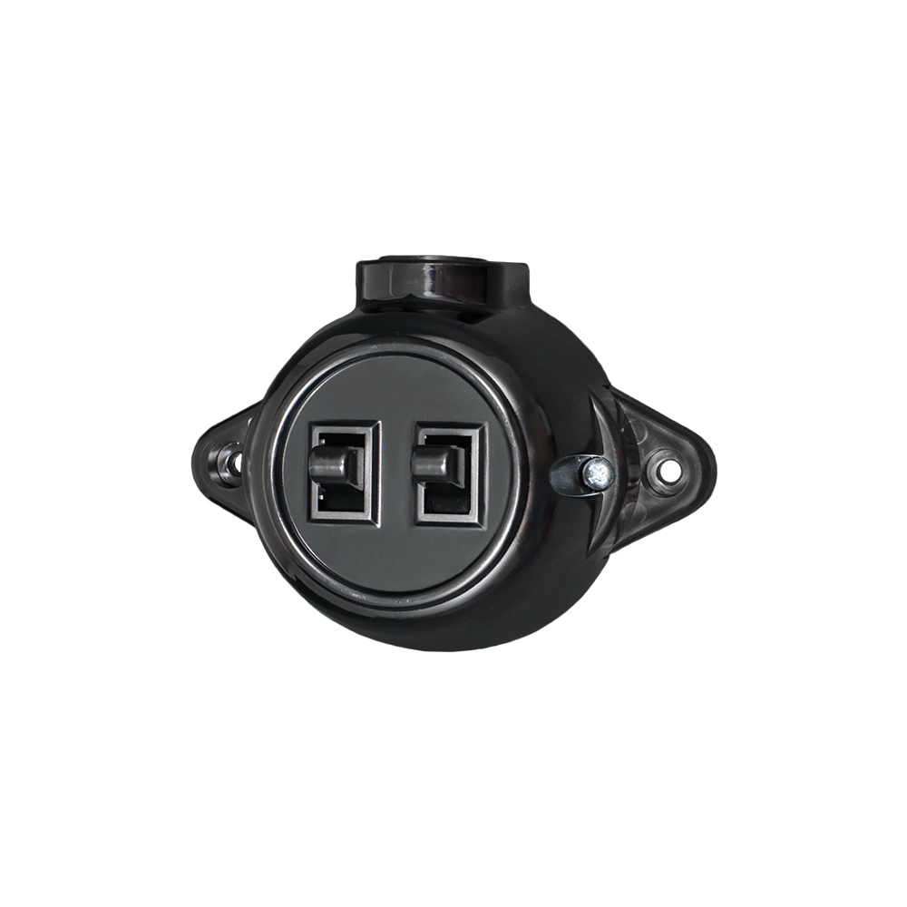 INTRERUPATOR DUBLU ANTIC  10A 250V NEGRU