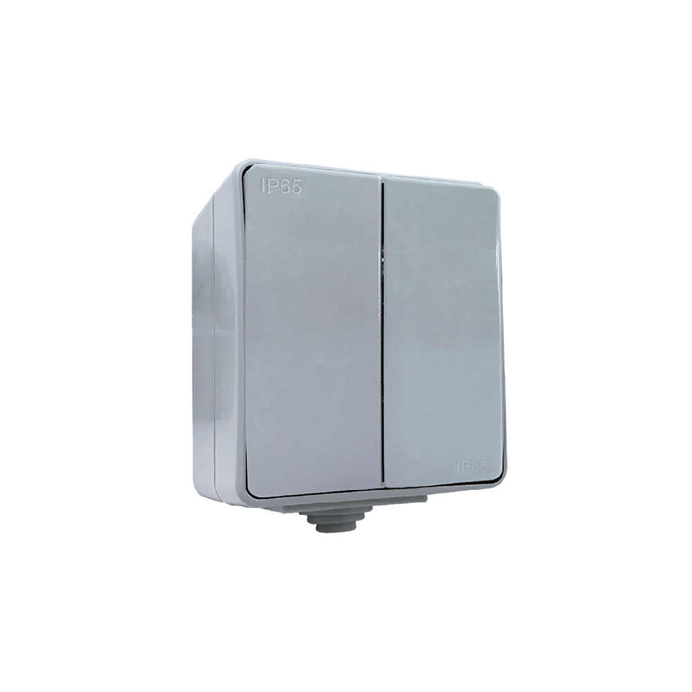 INTRERUPATOR DUBLU APLICAT GRI IP65