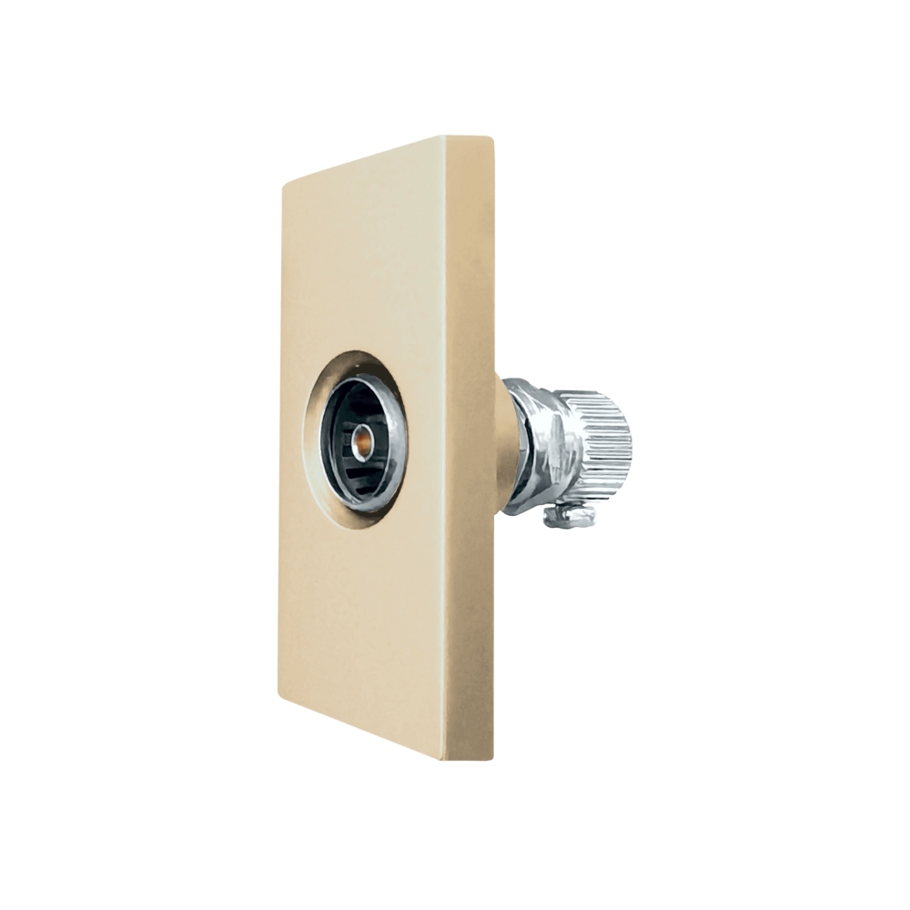 Modul Priza TV 1M LUXION - auriu