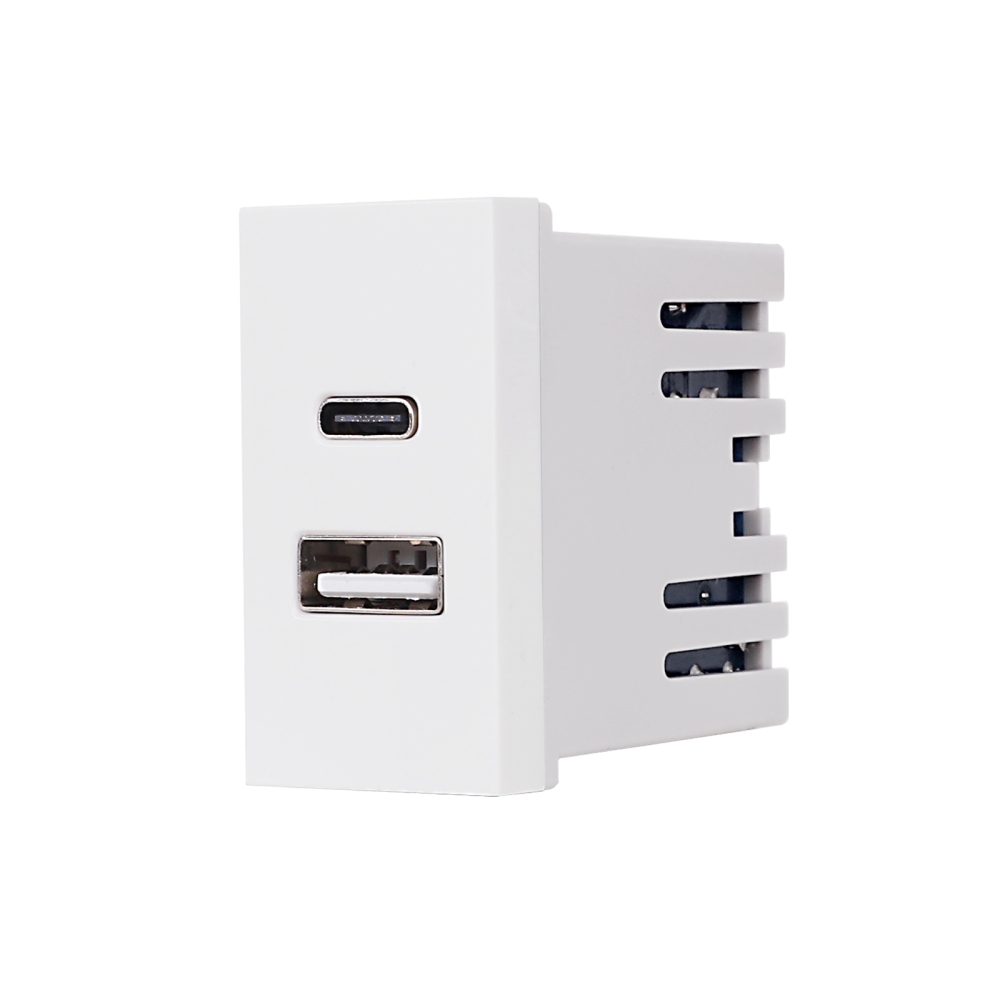 Modul Priza USB A+C 1M LUXION, Standard Italian - alb