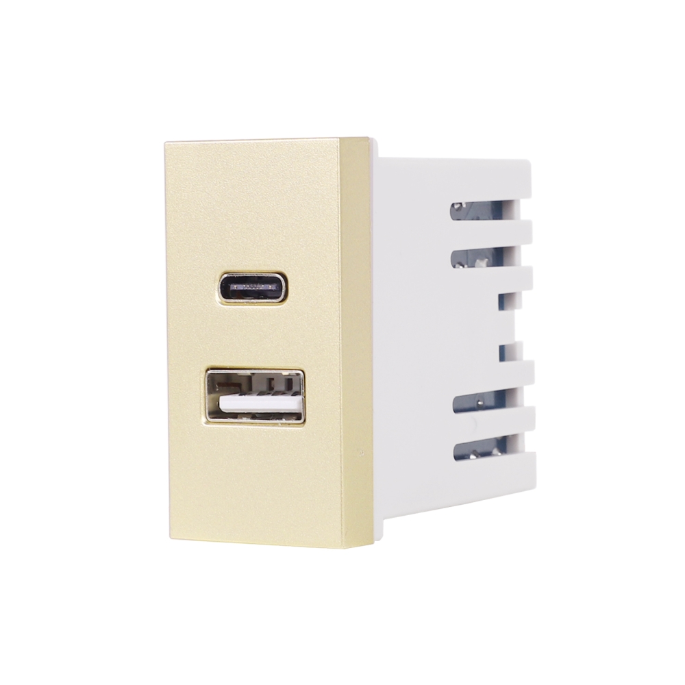 Modul Priza USB A+C 1M LUXION, Standard Italian - auriu
