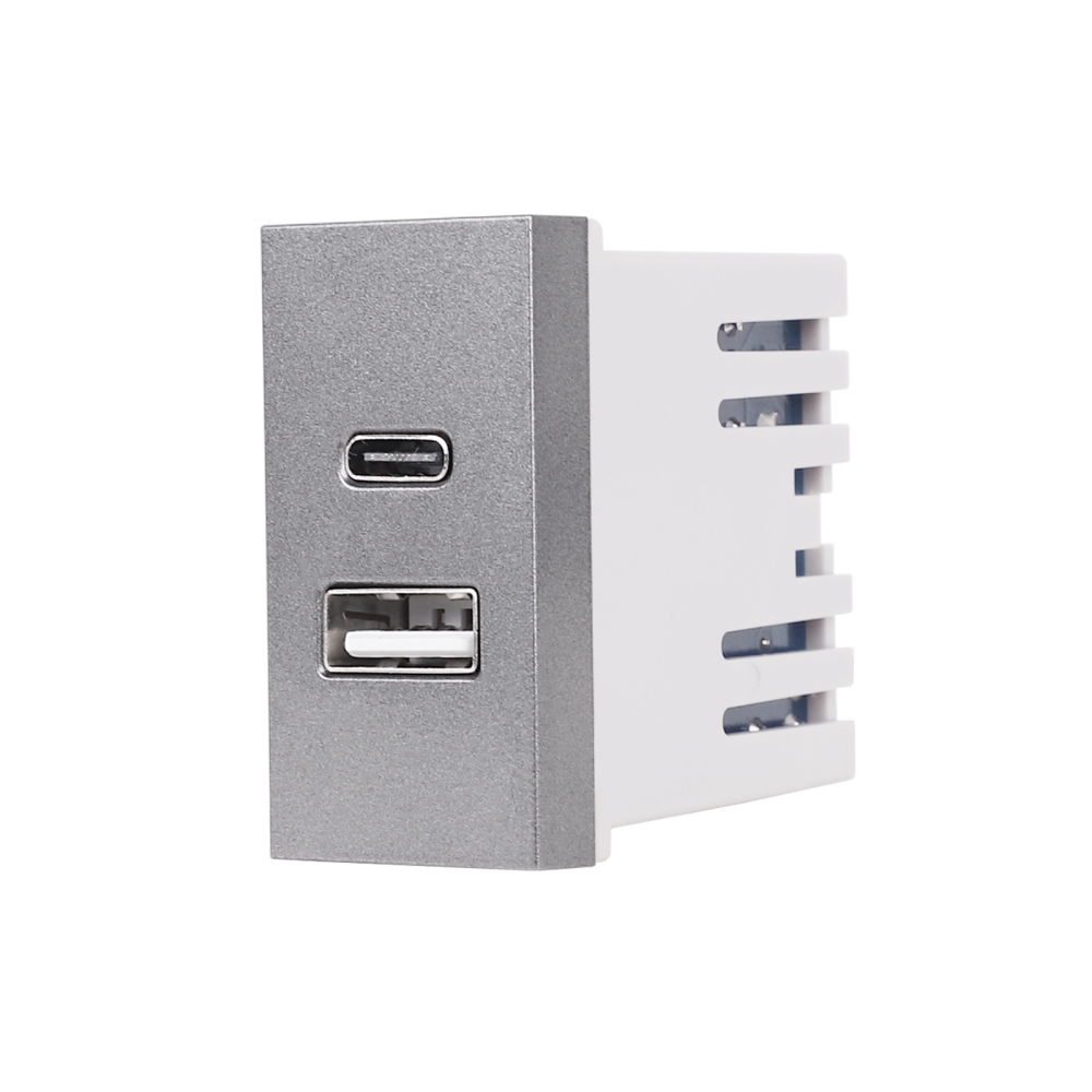 Modul Priza USB A+C 1M LUXION, Standard Italian - gri