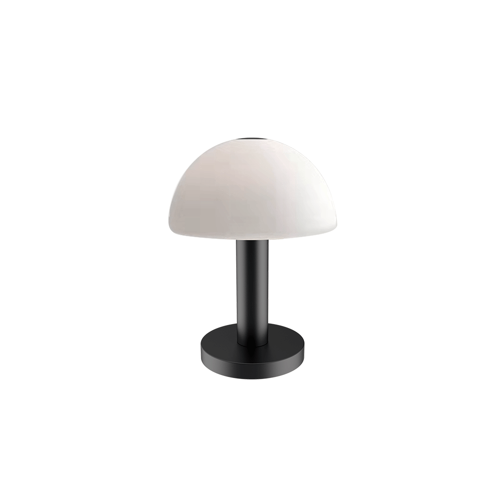 NOLA VEIOZĂ 1XG9 ALB/NEGRU CU DIMMER