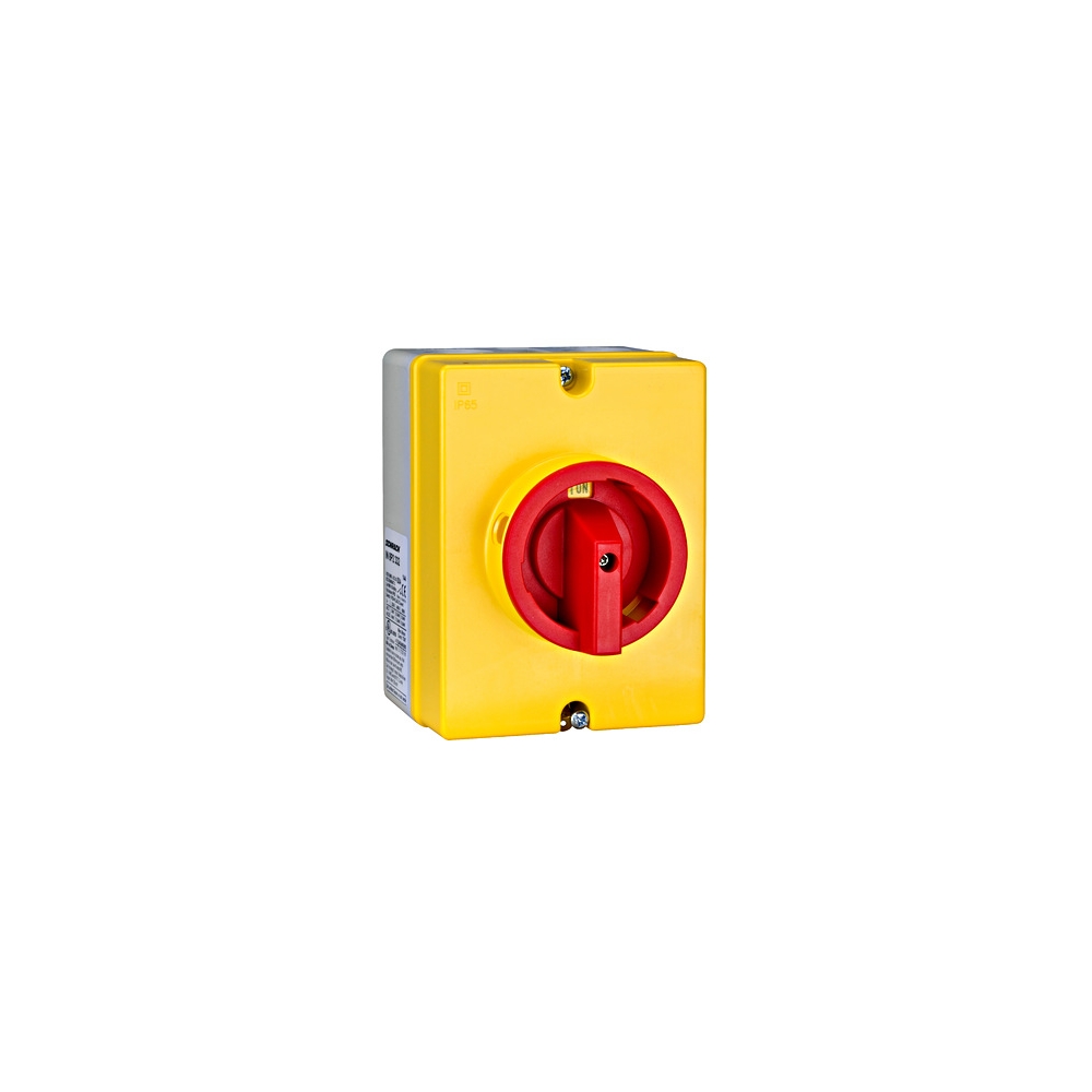 &Icirc;ntreruptor principal capsulat 4p 32A