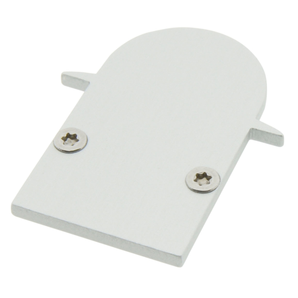 Profile end cap TBI round closed