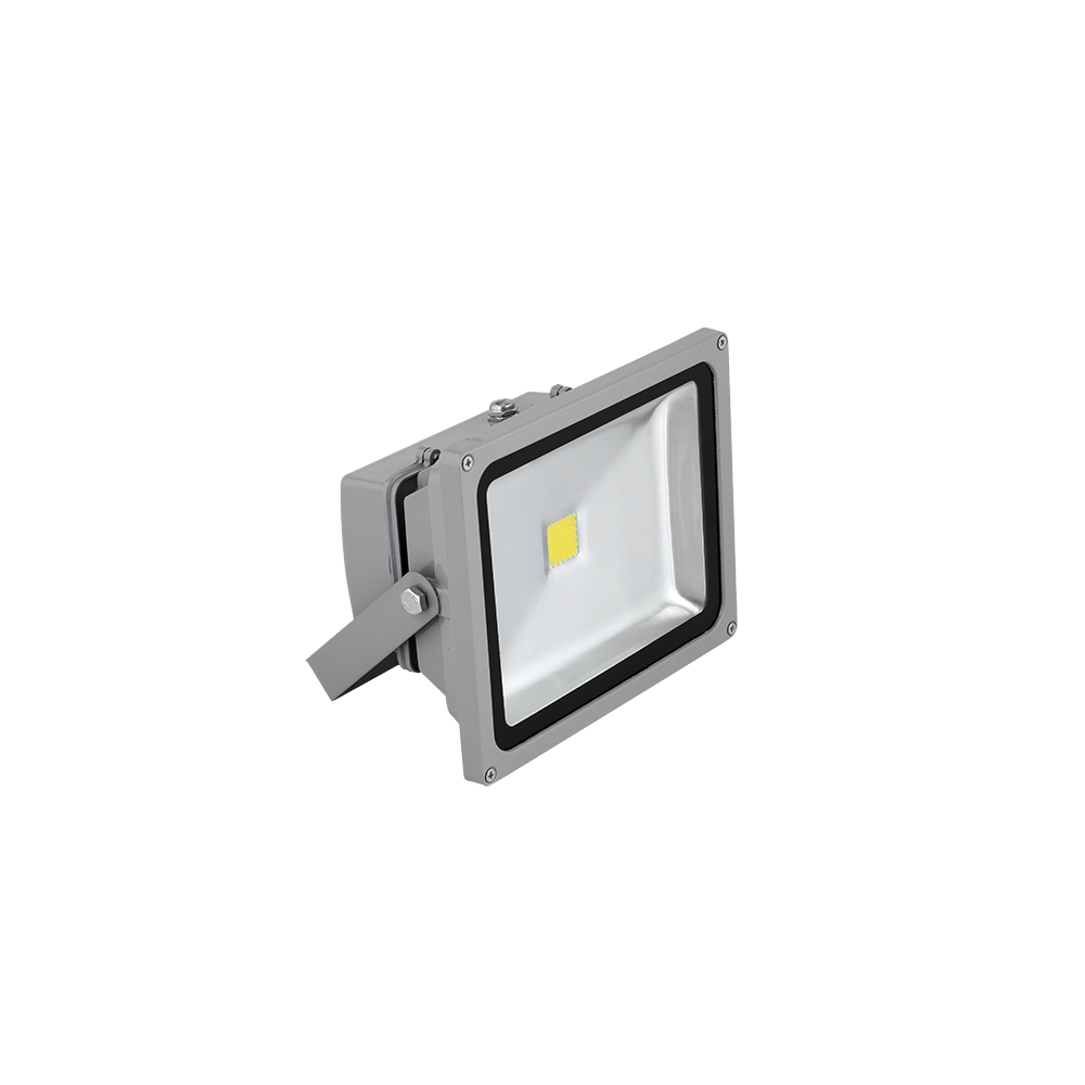 PROIECTOR CU LED VEGA30 30W ALB CALD