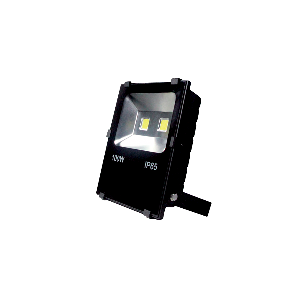 PROIECTOR LED VEGA100 100W 5000-5500K NEGRU