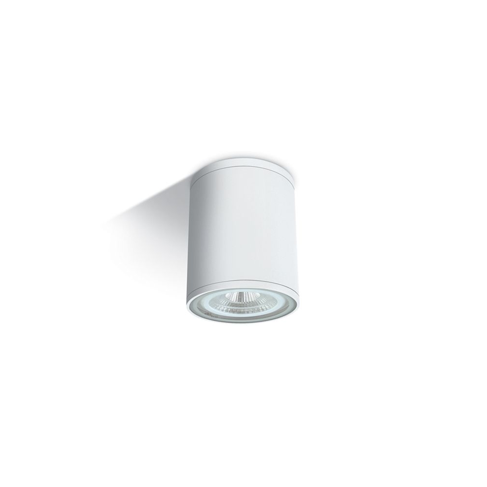 Rolo 2-CL 75W, E27, PAR30, 100-240V, IP54, alb
