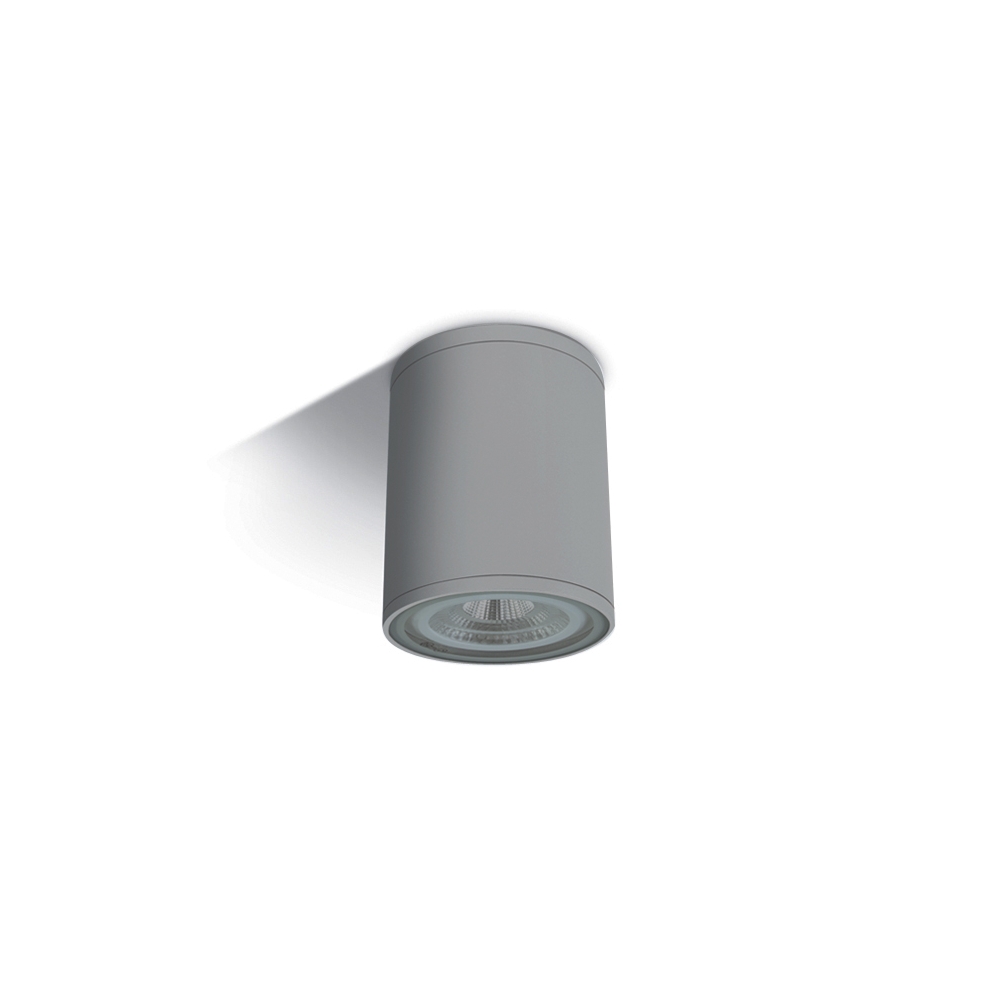 Rolo-CL mediu, E27 PAR30, 75W, IP54, gri