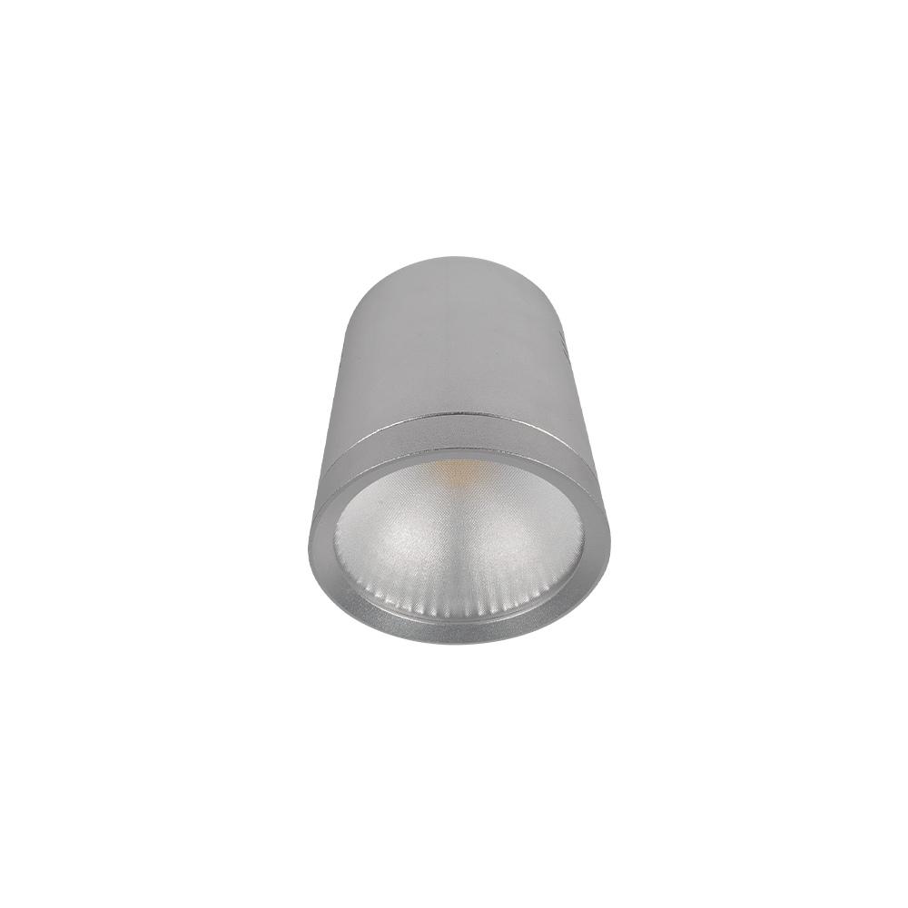 SPOT CU LED RDLCOB 20W 230V 4000K 60&deg; ARGINTIU