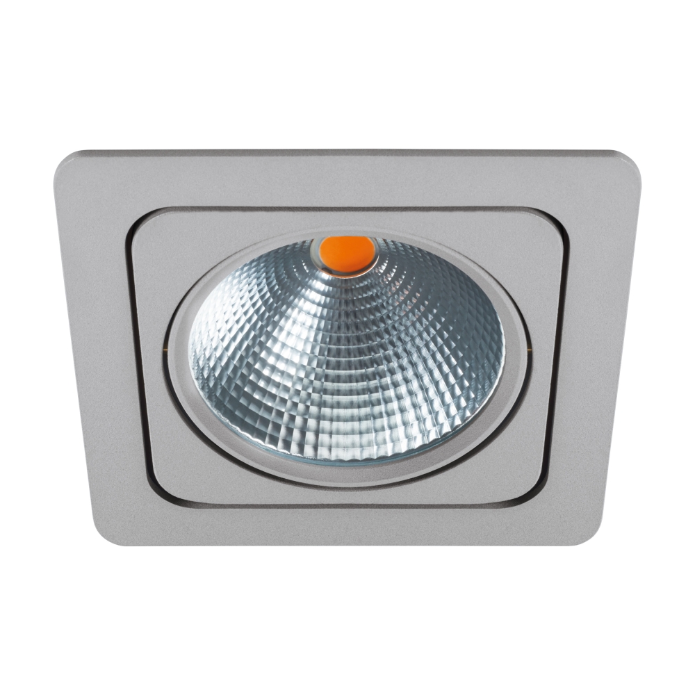 Vascello G1" swivelling 19W 2700K silver IP20