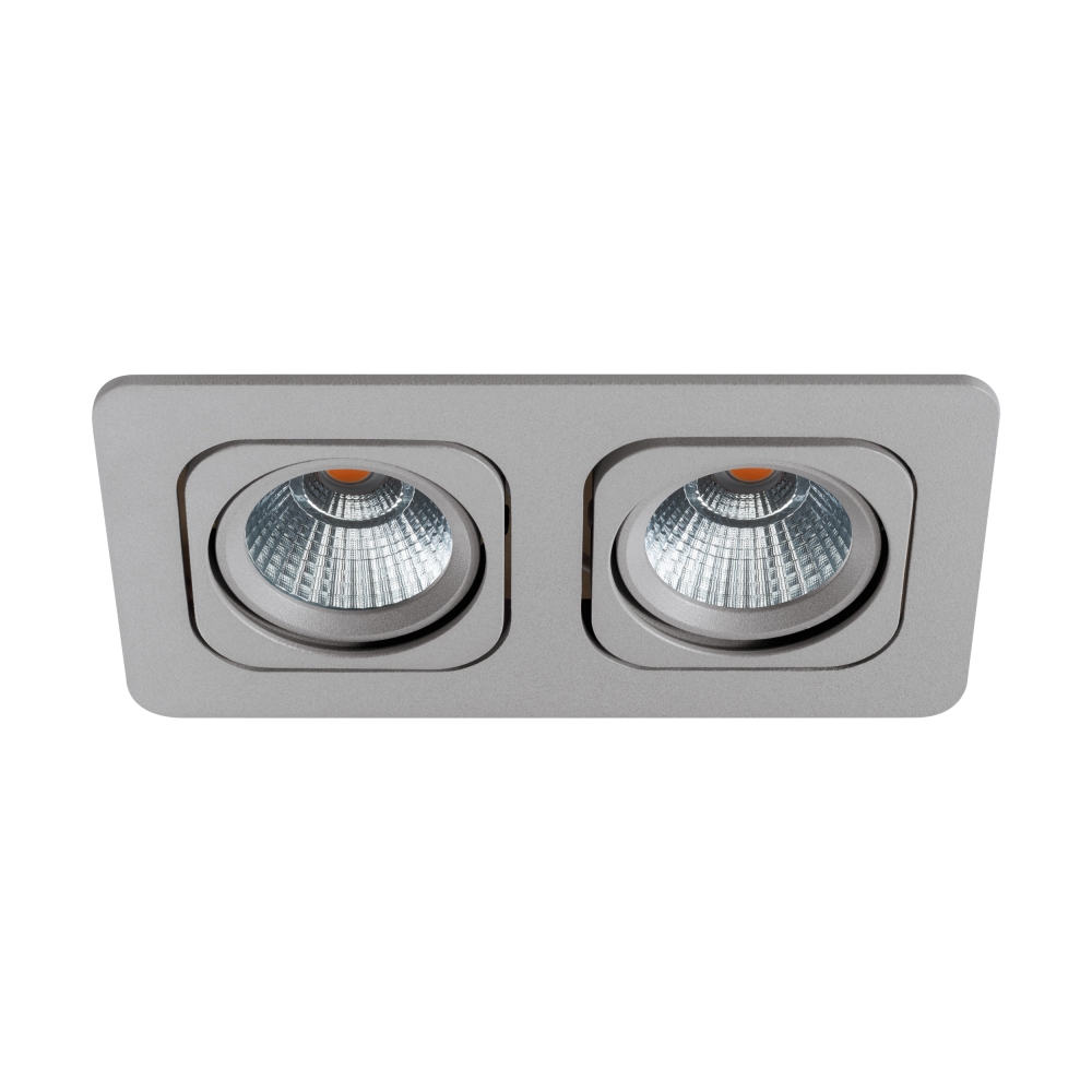Vascello P2" swivelling 2 x 7W 2700K silver IP20