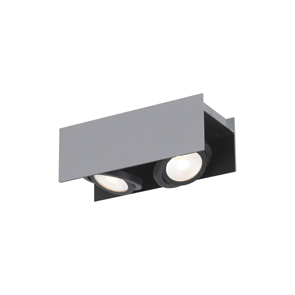 Vidago Pro / 2flg., DALI dimmable 2x9W 4000K silver IP20